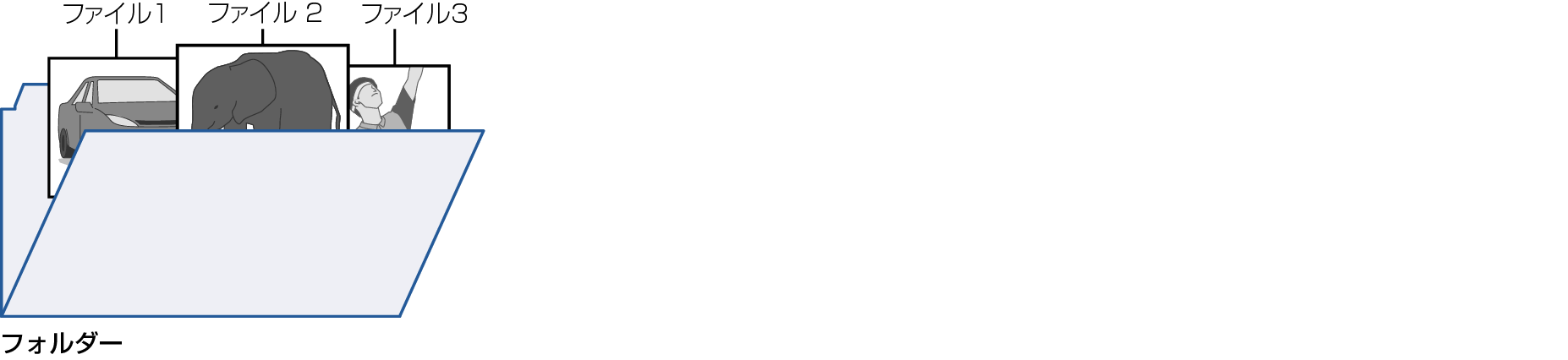 Sample folder_file